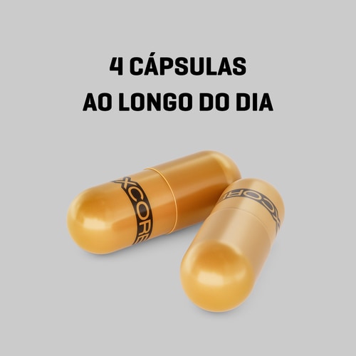 XCESS Day-Burn 240 caps (2)