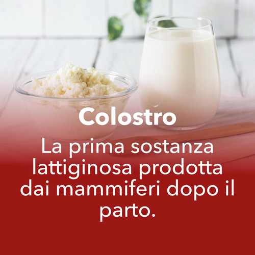 Colostro 1000 mg 60 capsule - Salute dell'Atleta | Prozis
