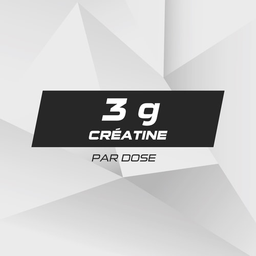 Créatine Monohydratée 300 g (6)