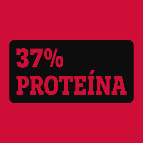Jerky de Vacuno 50 g (6)