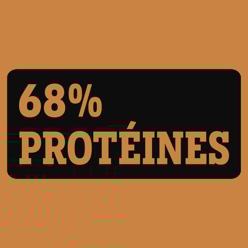 Dinde Séchée 50 g (6)