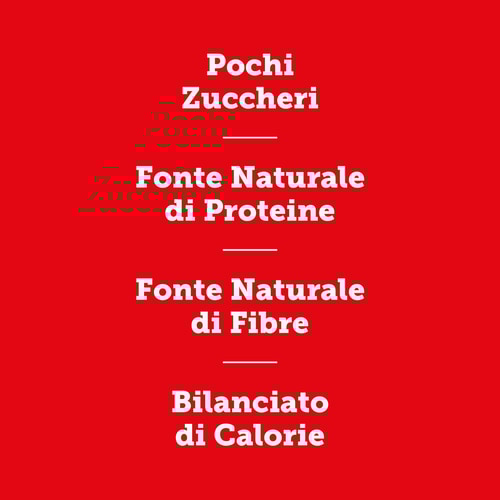 Pancake + Protein – Oat Pancakes with Protein 400g (4)