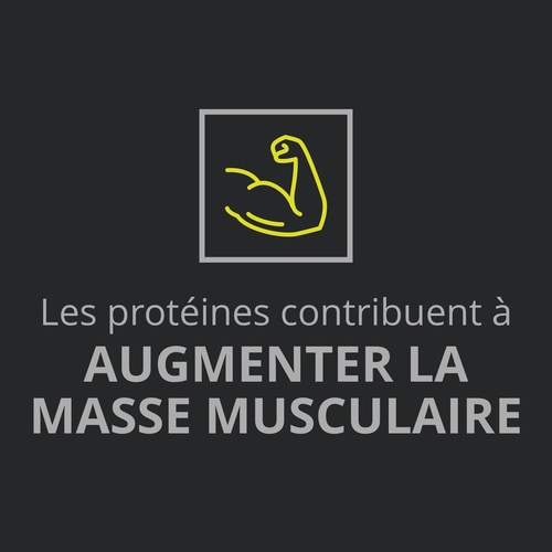 100% Whey Prime + Creatine 400 g (8)