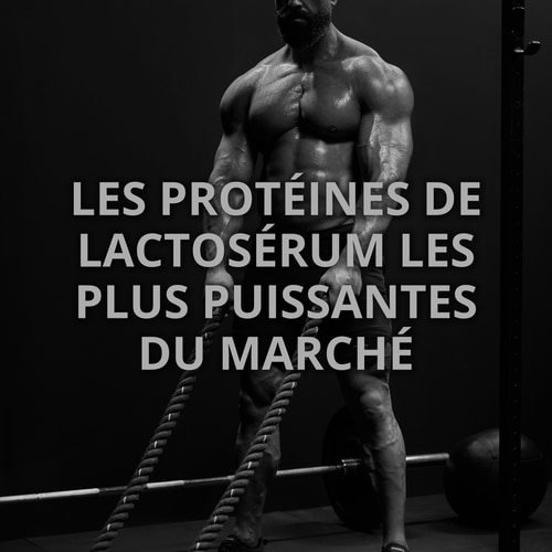 100% Whey Prime + Creatine 400 g (10)