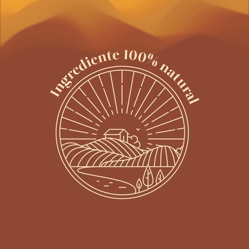 Ashwagandha Biológica 125 g (4)