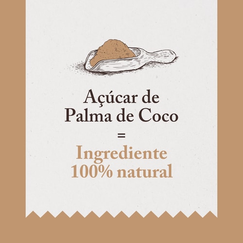 Açúcar de Palma de Coco 250 g (3)