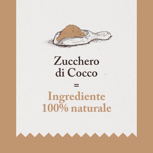 Zucchero di palma da cocco 250 g (3)