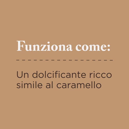 Zucchero di palma da cocco 250 g (4)