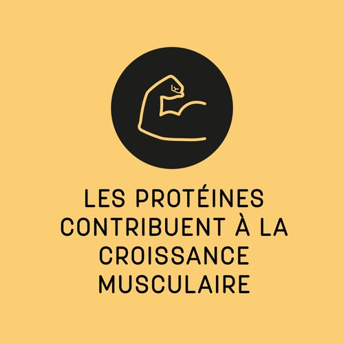 100% Albumine de Blanc d'Œuf 900 g (4)