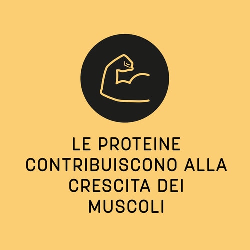 100% Albumina da Albume d'Uovo 900 g (4)