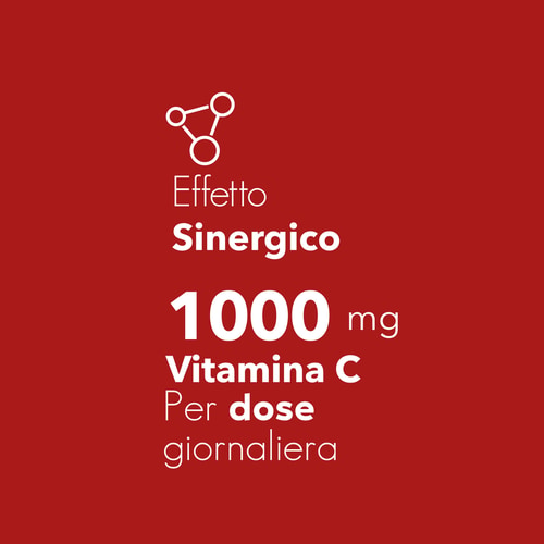 Vitamin C 1000mg + Rose Hip 60 tabs (6)