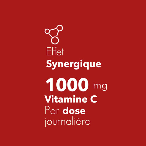 Vitamin C 1000mg + Rose Hip 60 tabs (6)