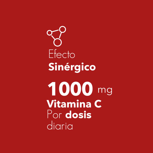 Vitamin C 1000 mg + Rose Hip 240 tabs (6)