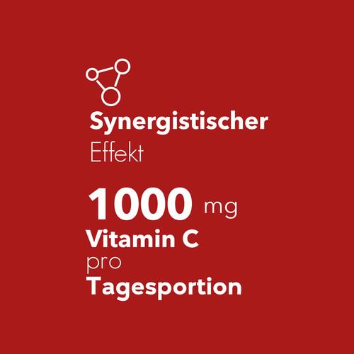 Vitamin C 1000 mg + Rose Hip 120 tabs (6)