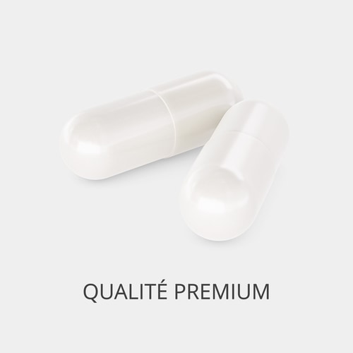 Acide Folique - Vitamine B9 500 mcg 120 gélules vég. (2)