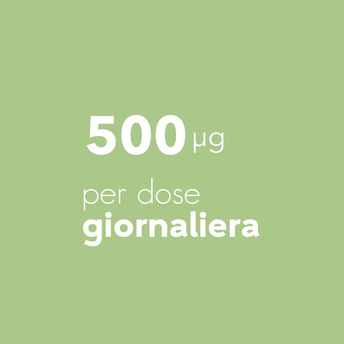 Acido Folico - Vitamina B9 500 mcg 120 capsule vegane (6)
