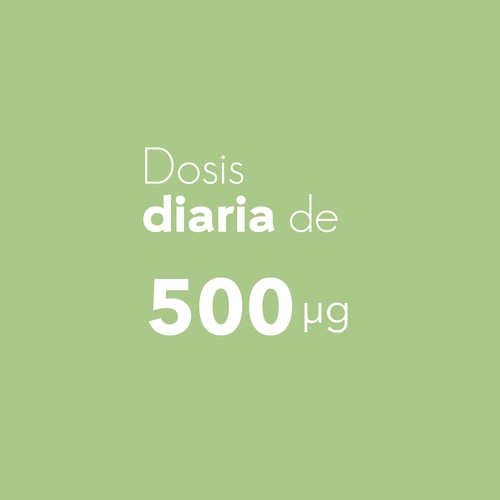 Ácido Fólico - Vitamina B9 500 mcg 120 cápsulas veganas (6)