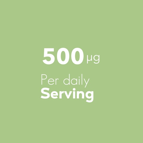 Folic Acid - Vitamin B9 500 mcg 120 veg caps (6)