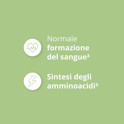 Acido Folico - Vitamina B9 500 mcg 120 capsule vegane (7)