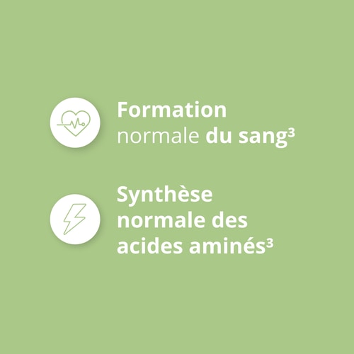 Acide Folique - Vitamine B9 500 mcg 120 gélules vég. (7)