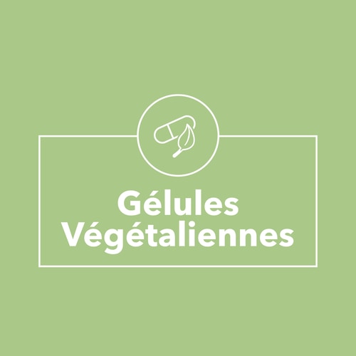 Acide Folique - Vitamine B9 500 mcg 120 gélules vég. (9)