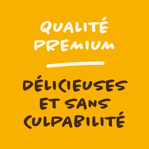 Gaufres Sans Sucres (6 pièces) - Nappées de Chocolat (9)