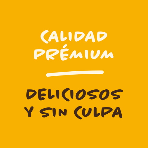 Gofres sin azúcares (6 ud) - Con cobertura de chocolate (9)
