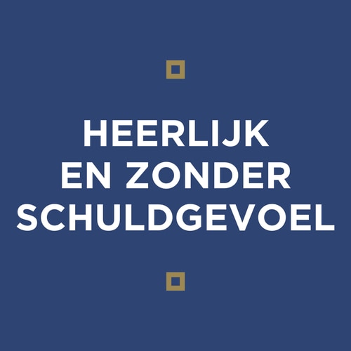 Suikervrije Belgische koekjes (5 verpakkingen van 3) (4)