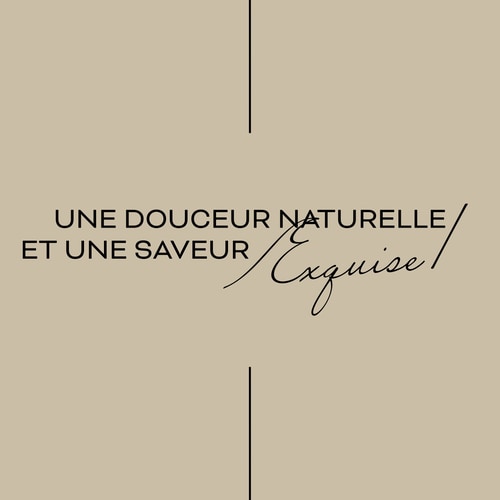 Gourmand Selection - Confiture Bio Sans Sucres Ajoutés 240 g (4)