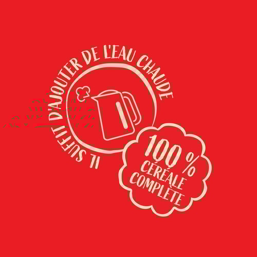 PORRIDGE D'AVOINE - Prêt en 1 minute 500 g (3)