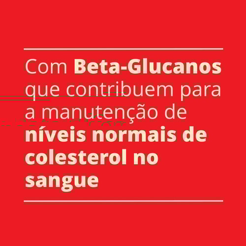 PAPAS DE AVEIA - Prontas num minuto 500 g (7)