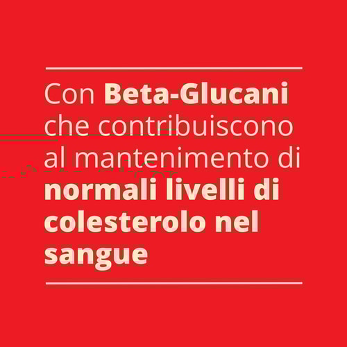 PORRIDGE D'AVENA - Pronto in 1 minuto 500g (7)