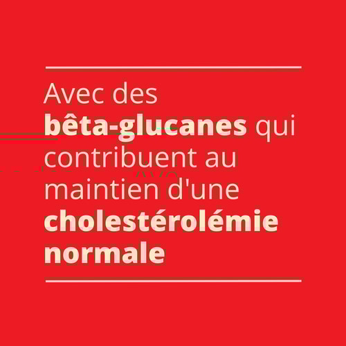 PORRIDGE D'AVOINE - Prêt en 1 minute 500 g (7)