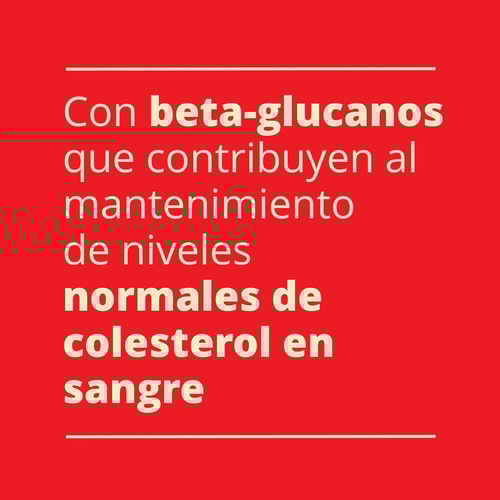 GACHAS DE AVENA - Listas en 1 minuto 500 g (7)