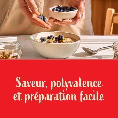 PORRIDGE D'AVOINE - Prêt en 1 minute 500 g (8)