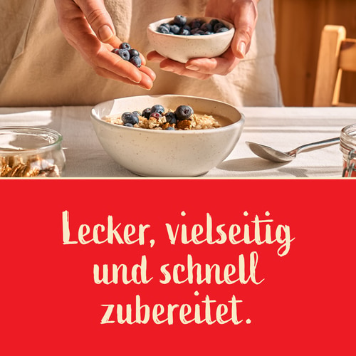 HAFERBREI - In 1 Minute fertig 500 g (8)
