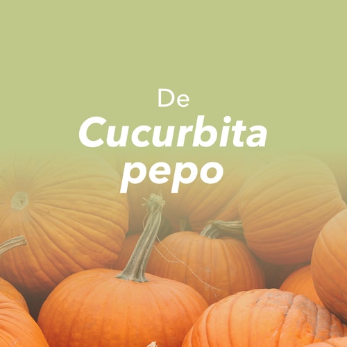 Óleo de Sementes de Abóbora 1000 mg 60 cápsulas moles (8)