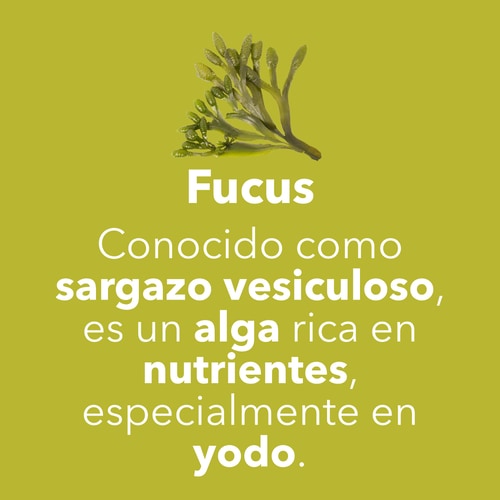 Fucus - Yodo 150 mcg 60 caps (7)