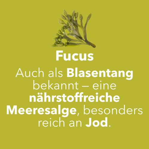 Fucus - Jod 150 mcg 60 Kapseln (7)
