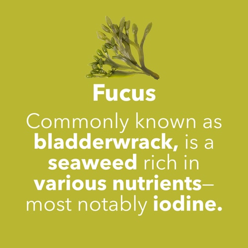 Fucus - Iodine 150 mcg 60 caps (7)