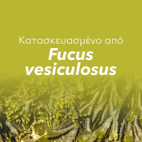 Fucus - Ιώδιο 150 mcg 60 κάψουλες (8)