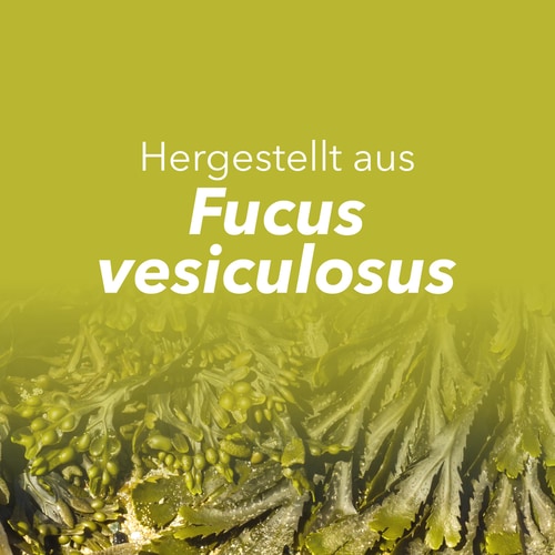 Fucus - Jod 150 mcg 60 Kapseln (8)