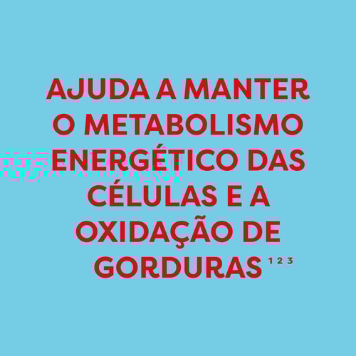 L-Carnitina 1500 mg 60 cápsulas (4)