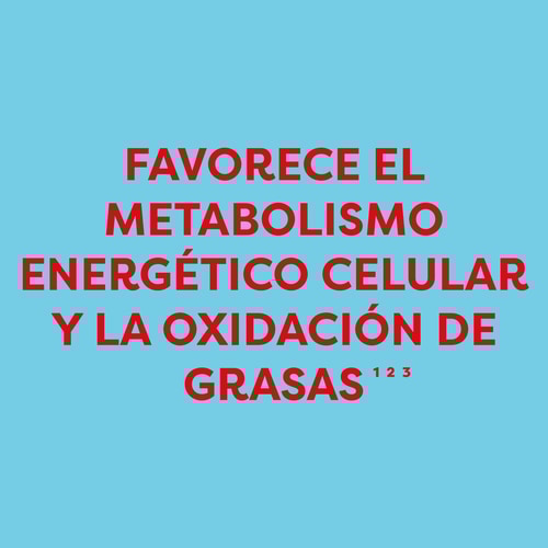 L-carnitina 1500 mg 120 cápsulas (4)