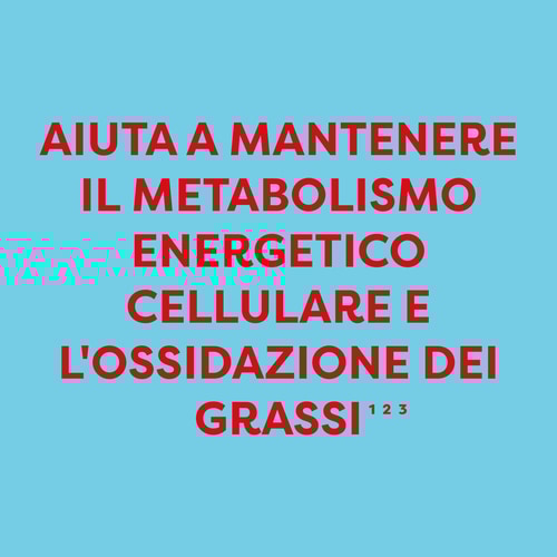 L-Carnitina 1500 mg 120 capsule (4)