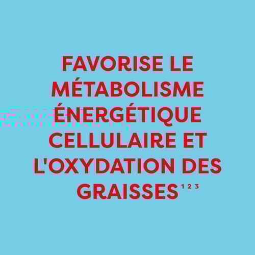 L-Carnitine 1 500 mg 60 gélules (4)