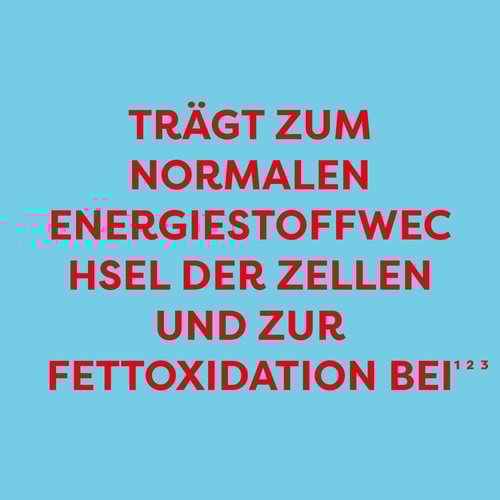 L-Carnitin 1500 mg 60 Kapseln  (4)