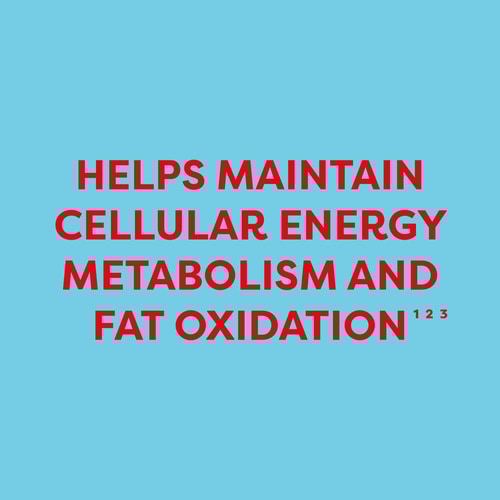 L-Carnitine 1500 mg 120caps (4)