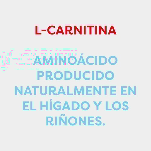 L-carnitina 1500 mg 120 cápsulas (7)