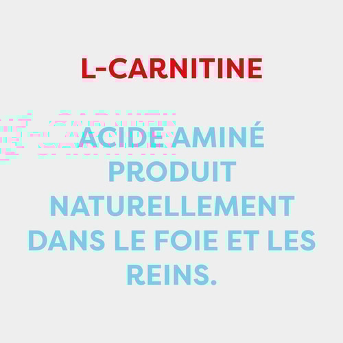 L-Carnitine 1 500 mg 60 gélules (7)